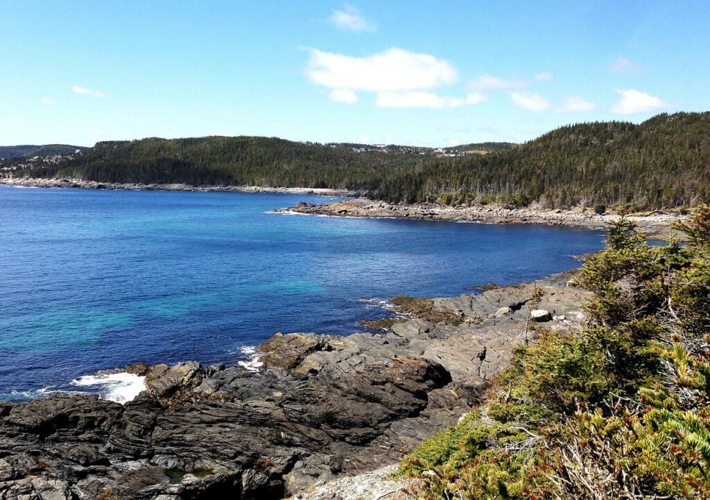 newfoundland, nature, east, coast, hiking, trail, canada, rocks, landscape, maritime, rocky, shoreline, ocean, shore, avalon, bigubb, newfoundland, newfoundland, newfoundland, newfoundland, newfoundland