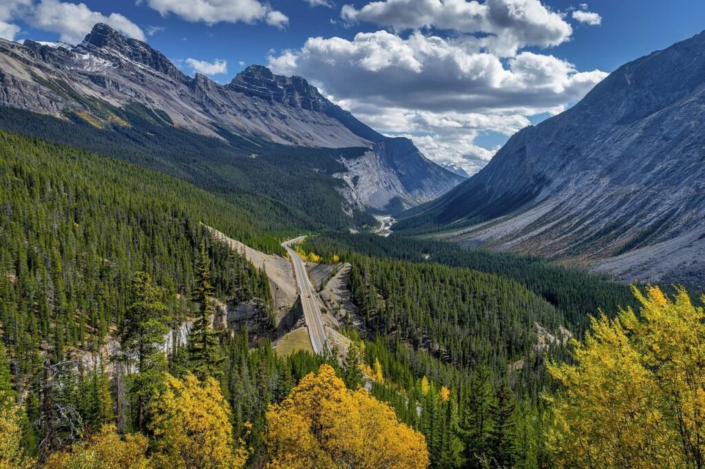 mountains, forest, valley, road, countryside, mountain range, trees, woods, landscape, rocky mountain, scenery, scenic, nature, icefields parkway, alberta, canada, north america, icefields parkway, icefields parkway, icefields parkway, icefields parkway, icefields parkway, alberta