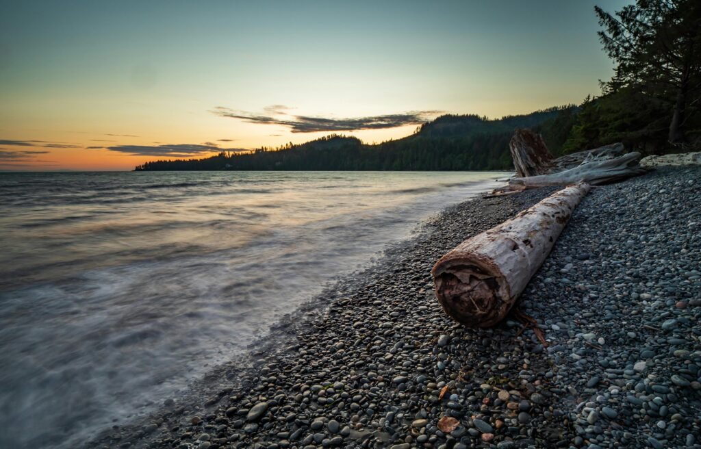 Discover tranquility with a sunset view of driftwood on a Vancouver Island beach.