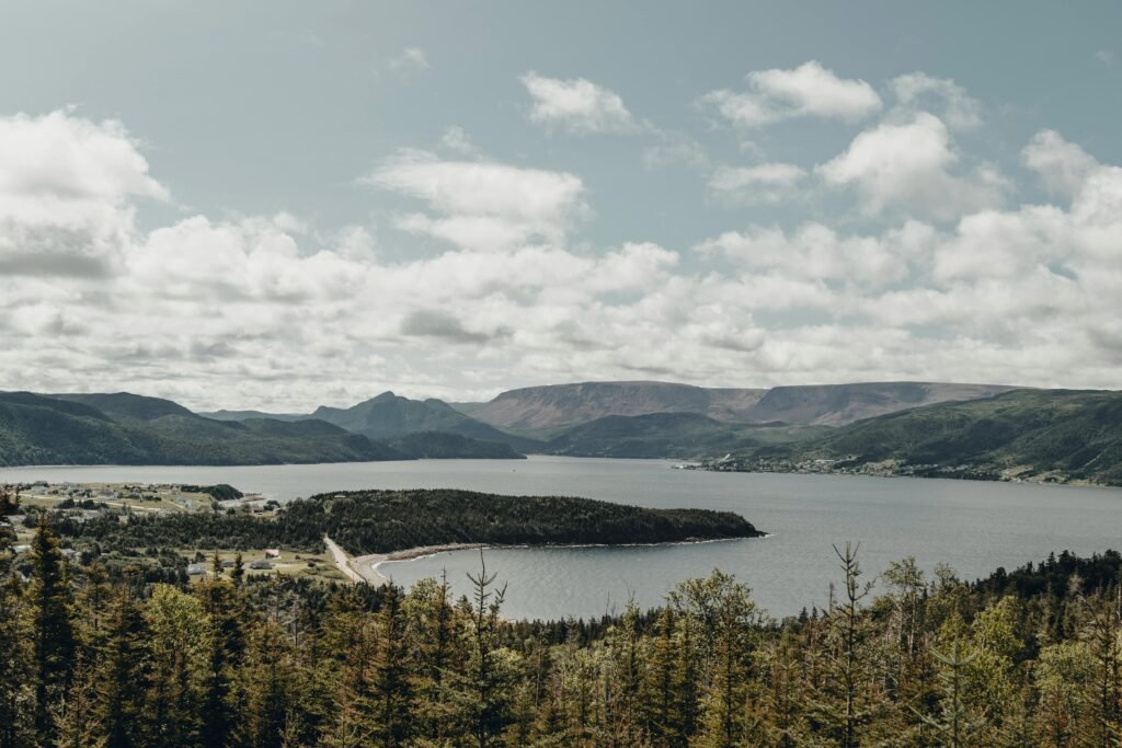 Vibrant summer landscape of Norris Point, NL with lush forests and tranquil lake.